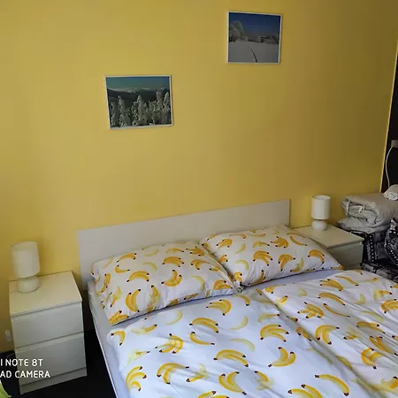 Wellness Triola Kořenov