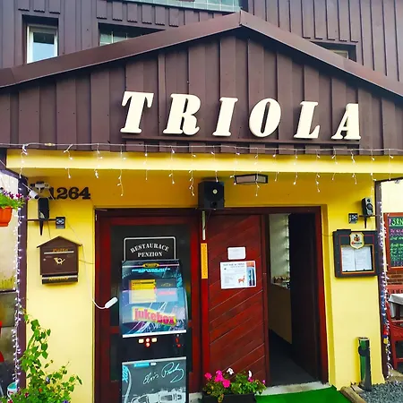 בית הארחה Wellness Triola *