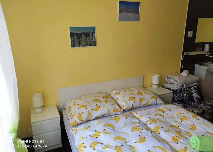 Wellness Triola Kořenov