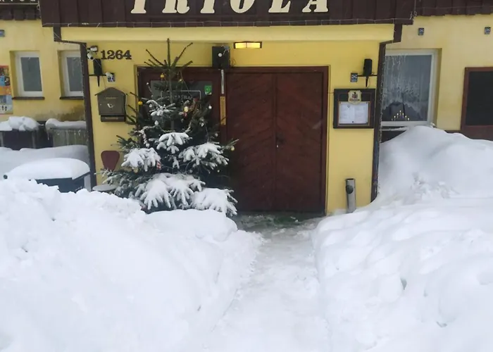 Pensionat Wellness Triola *