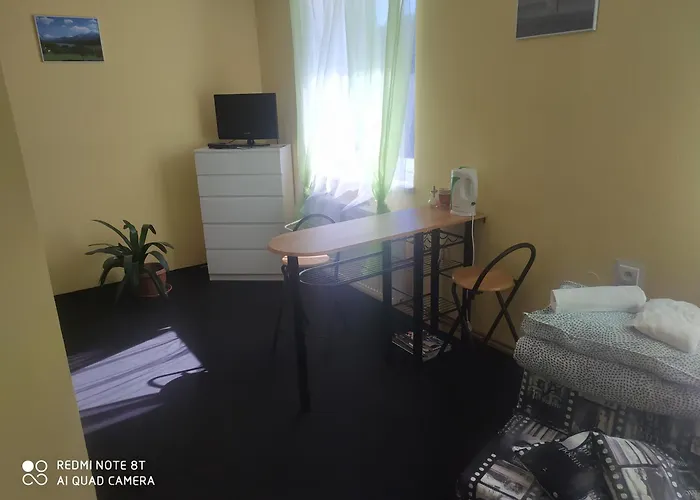 Pensionat Wellness Triola Kořenov
